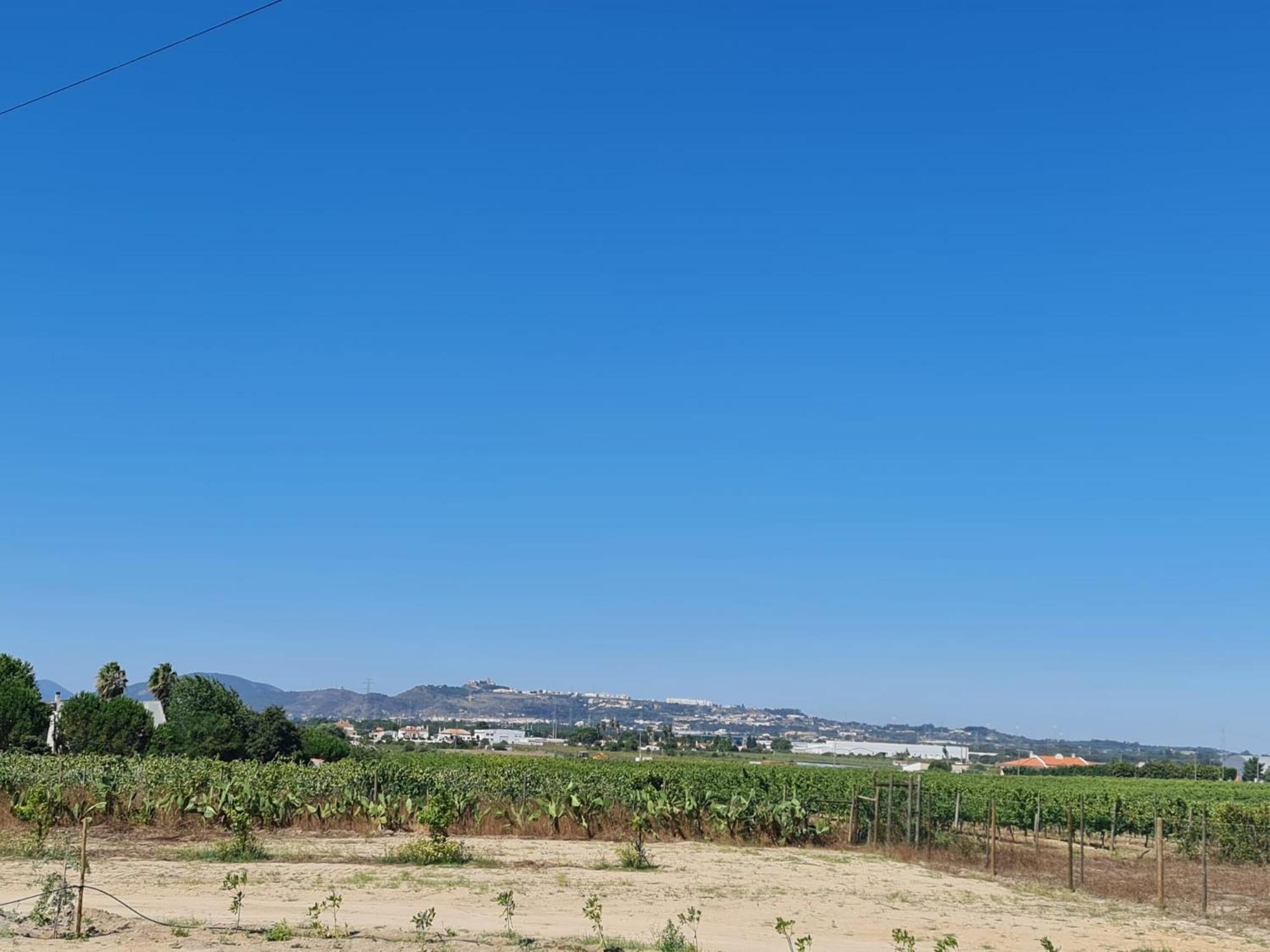 Holiday home Grape Escape *